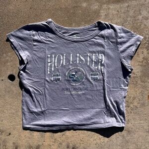 2 Hollister Vintage Baby Tees!💜💚